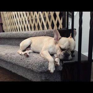 Meet your Posher, Taylor